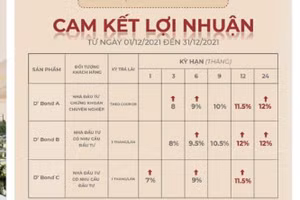 Bảng lợi nhuận trái phiếu lên tới 12%/năm của Tân Hoàng Minh.