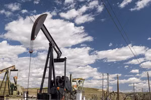 Ảnh minh họa/INT