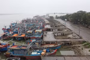 Ảnh minh họa/INT