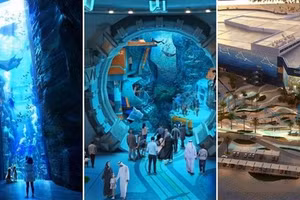 Trong công viên có khu vui chơi dành cho trẻ em.