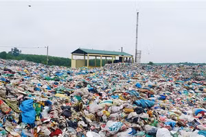 Bãi rác khổng lồ chưa được phân loại ngay cạnh lò đốt rác đã ngưng hoạt động.