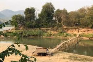 Ô nhiễm dược phẩm tại các con sông