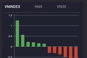 Tốp cổ phiếu tác động lớn trên thị trường. Ảnh: VNDirect