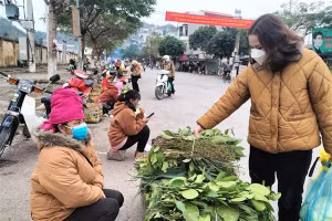 Nhiều người dân ở Sơn La tìm mua các loại lá về xông mũi vì có thông tin sẽ phòng, chữa được Covid-19.