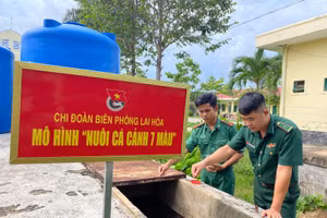 Chi đoàn Đồn Biên phòng Lai Hòa tận dụng các bồn, bể chứa nước không còn sử dụng để nuôi cá bảy màu.