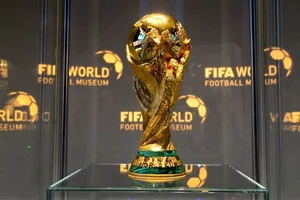 Ý tưởng tổ chức World Cup 2 năm/lần của FIFA đang gây tranh cãi.