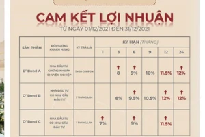 Bảng lợi nhuận trái phiếu lên tới 12%/năm của Tân Hoàng Minh.