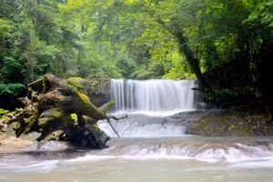 Vườn Quốc gia Bù Gia Mập, nơi lưu trữ những giá trị lịch sử và bảo tồn thiên nhiên