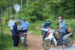 Từ tháng 9 âm lịch, người dân miền núi Hà Tĩnh đã rong ruổi khắp các bìa rừng để săn ong mật về nuôi.