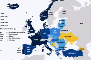 Ảnh minh họa/INT