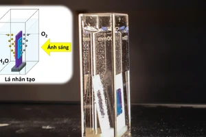 Lá nhân tạo do nhóm nghiên cứu tại USTH chế tạo.