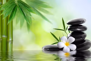 Ảnh minh họa/INT