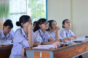 Ảnh minh họa: Thiên Thanh.