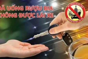 Lồng ghép giáo dục tác hại của lạm dụng rượu, bia vào bài học chính khóa