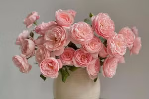 Song Ngư có cơ hội đầu tư lớn, Cự Giải sự nghiệp rất hanh thông ngày 27/6