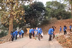 Dọn dẹp vệ sinh tại Di tích Đồi A1.