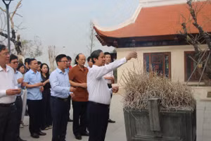 Bộ trưởng Nguyễn Kim Sơn dẫn đoàn thắp hương tại Đền thờ liệt sĩ chiến trường Điện Biên Phủ