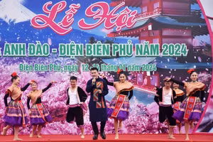 Các tiết mục văn nghệ được trình diễn mang đậm bản sắc văn hóa dân tộc.