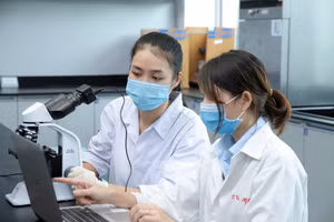 Nỗ lực gắn sao cho trường đại học