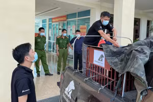 Gấu Wonder an toàn vận chuyển lên xe tải.