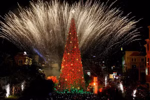 Mãn nhãn ngắm loạt cây thông Giáng sinh đẹp nhất 2023 