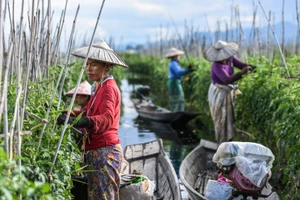 Hình ảnh khu bảo tồn UNESCO nổi tiếng ở Myanmar bị ‘nghẹt thở’ 