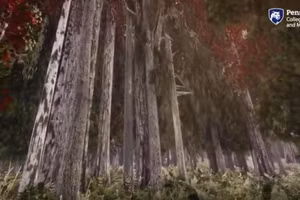 Khu rừng thực tế ảo mô phỏng chân thực tác động của biến đổi khí hậu