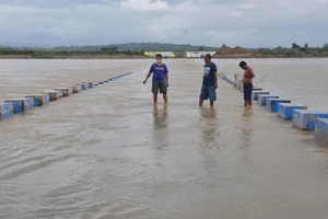 Người dân Philippines trên một cây cầu ngập nước do mưa bão.