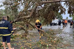 Cây đổ ở Philippines do cơn bão Molave gây ra.