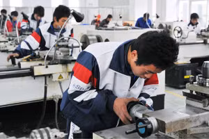 HS Trung Quốc học nghề