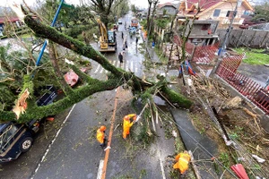 Bão Goni quật đổ cây cối ở Philippines.