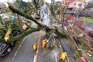 Bão Goni quật đổ cây cối ở Philippines.