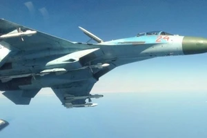 Chiến cơ Su-27 của Nga.