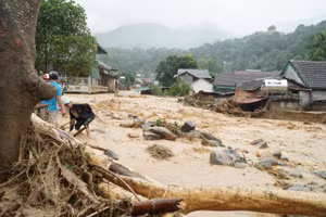 Trận lũ lịch sử quét qua bản Hòa Sơn, xã Tà Cạ, huyện Kỳ Sơn, Nghệ An 