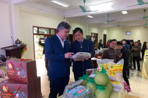 Lãnh đạo tỉnh Điện Biên kiểm tra các sản phẩm.