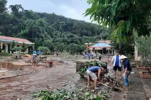 Công đoàn nhà trường tổ chức vệ sinh khuôn viên trường học.