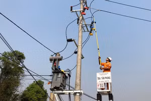 Cán bộ, công nhân Điện lực Điện Biên kiểm tra, sửa chữa hạ tầng điện.