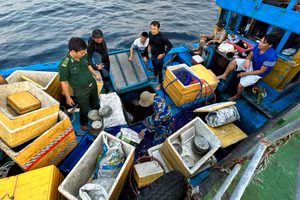 Biên phòng Quảng Ngãi kiểm tra, phát hiện cổ vật tàu đắm trên tàu cá ngư dân. Ảnh Nguyễn Tánh.