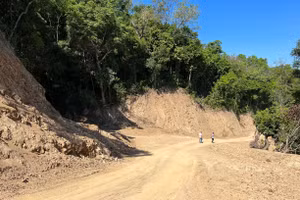 Tuyến đường công vụ mở xuyên rừng, trong đó có diện tích rừng thuộc dự án KfW6.