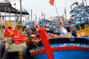 Chủ tàu cá ở Quảng Ngãi vi phạm trong lĩnh vực thủy sản bị phạt hơn 850 triệu đồng. Ảnh minh hoạ.