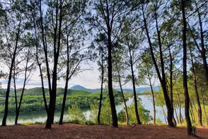 Sông Hương nhìn từ đồi vọng cảnh. Ảnh: NVCC.