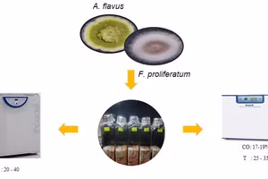 Đánh giá khả năng kìm hãm của các yếu tố lên sự sinh trưởng và sinh độc tố.