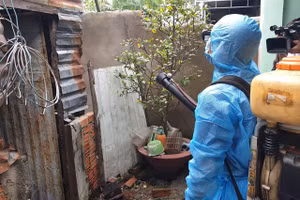 Từ đầu năm 2023 đến nay, Hà Nội ghi nhận tổng số 1.556 ca mắc, tăng hơn 4 lần so với cùng kỳ năm 2022.