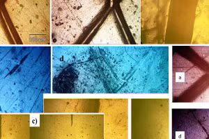 Các mẫu vật liệu tự lành khi quan sát dưới kính hiển vi quang học.