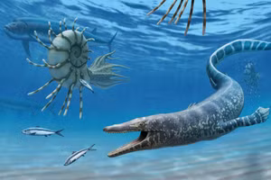 Khoảng 94 triệu năm trước, thương long vẫn còn rất nhỏ và trong giai đoạn tiến hóa.