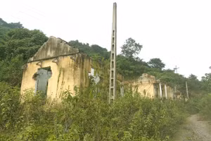 Đường vào khu tái định cư Khe Ò cỏ dại mọc um tùm, hàng chục ngôi nhà và công trình nhà văn hóa bị bỏ hoang.