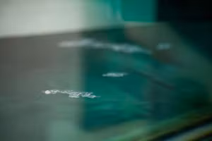 Công cụ theo dõi dựa trên vệ tinh sẽ là cải tiến lớn so với các phương pháp hiện tại.