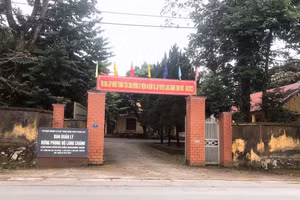 Ban Quản lý rừng phòng hộ Lang Chánh đã thu hồi thừa số diện tích đất được phê duyệt để trồng cây đa mục đích.