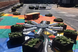 CO2 thu được trên sân thượng có thể tốt cho cây trồng.