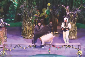 Một tiết mục xiếc thú của Liên đoàn Xiếc Việt Nam.